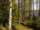   Ruokolahti     Suuri-Kivistöjärvi -  6125