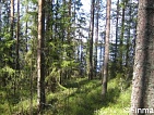      Pihlajavesi  Savonlinna -  11878